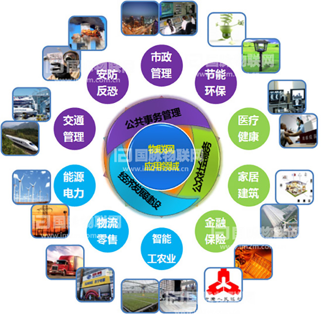 杨冰之：重视物联网在关键产业的应用