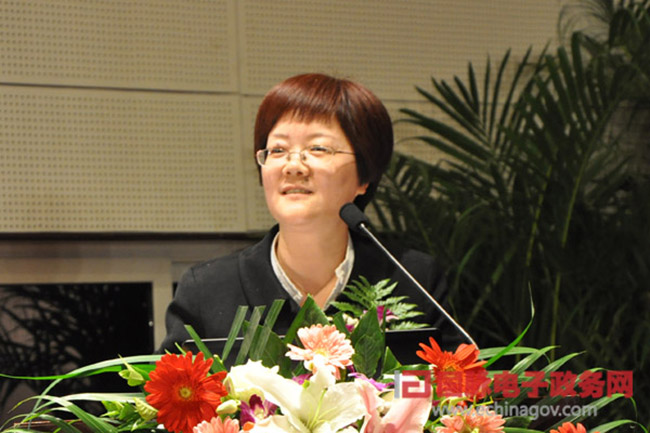 郑爱军：“政府网站+”时代 ，政府网站如何定位？