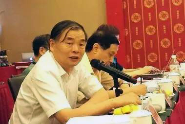 在中国智慧城市发展与评估指标体系建设专家研讨会上，北京大学教授、工信部原副部长杨学山以《新型智慧城市建设与发展思考》为题发言