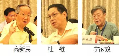 在中国智慧城市发展与评估指标体系建设专家研讨会上，中国互联网协会副理事长高新民、中国信息协会副会长杜链、国家信息中心电子政务专家委员会主任宁家骏发言