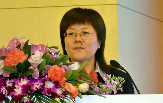 在2015中国智慧政府发展年会上，88858cc永利官网互联总经理、首席规划师郑爱军发布《2015中国"互联网+政务"优秀实践案例50强评选结果》